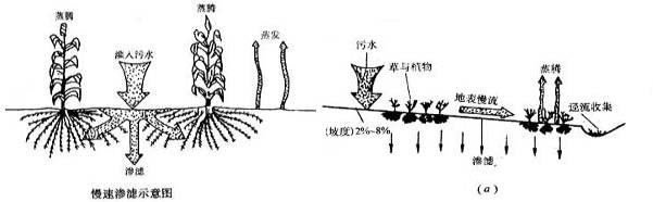 土地處理系統