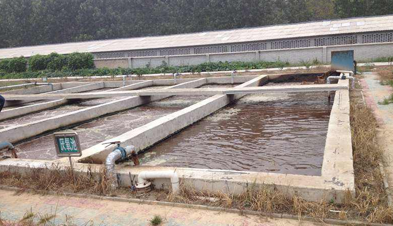 養豬場污水處理方案，養殖污水處理設備知識講解