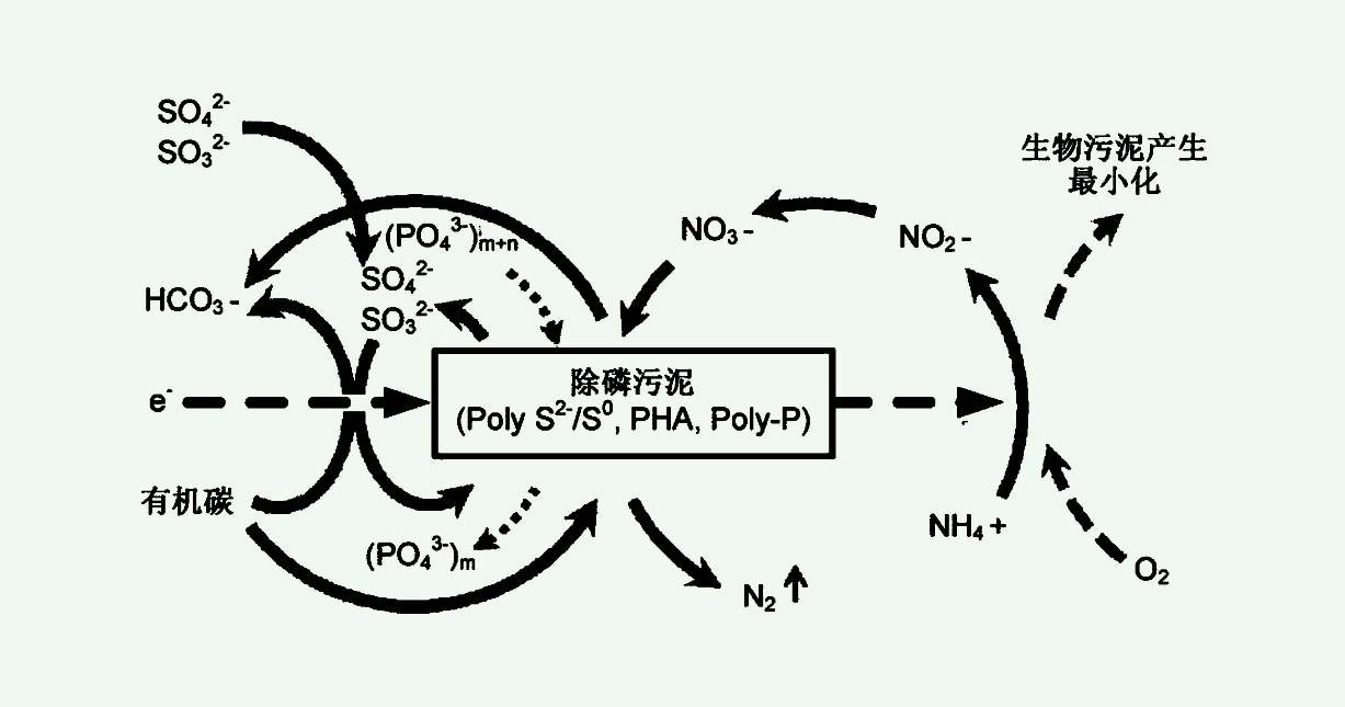 四種主要的生物脫氮工藝（生物脫氮的過程及原理）