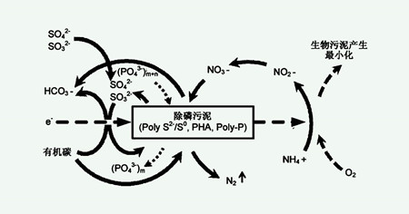 四種主要的生物脫氮工藝（生物脫氮的過程及原理）