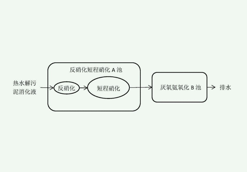 短程硝化反硝化原理（短程硝化反硝化和厭氧氨氧化區別）