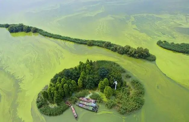 湖泊富營養化是什么原因（附相關處理方案）