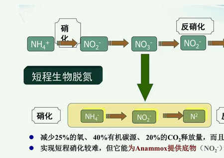 反硝化反應是指什么（污水硝化反應與反硝化原理）